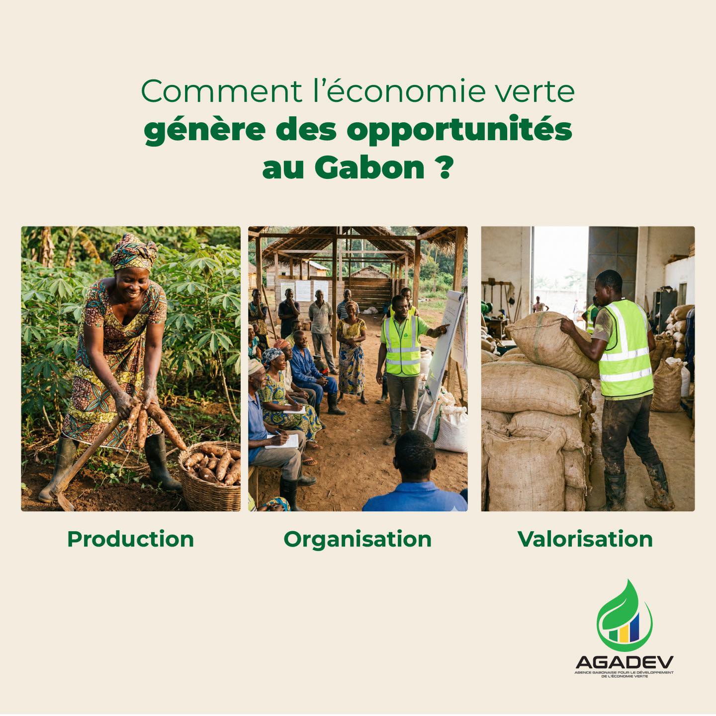 Protocole de Nagoya : l’AGADEV désignée Autorité nationale compétente